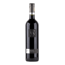 Vinho-Argentino-Latitud-33°-Malbec-750ml