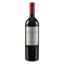 Vinho-Argentino-Benjamin-Nieto-Senetiner-Malbec-750ml