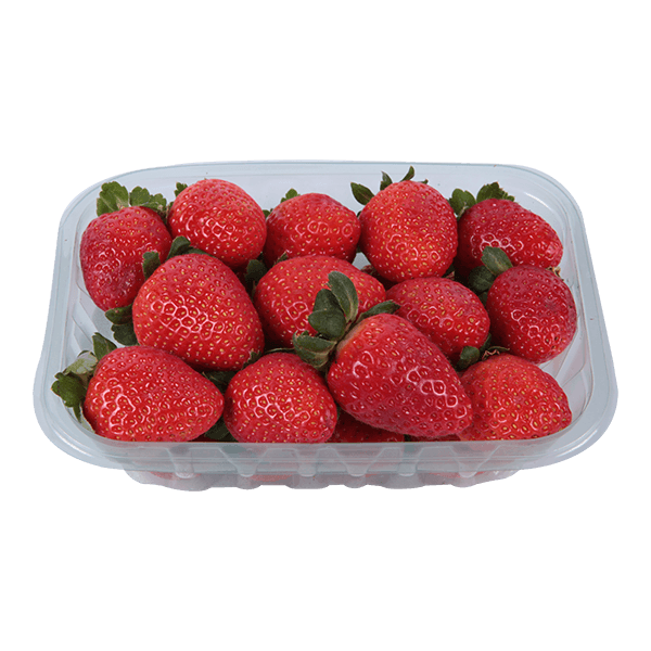 Morango--Bandeja- Morango--Bandeja-