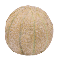 Melao-Charentais-2kg