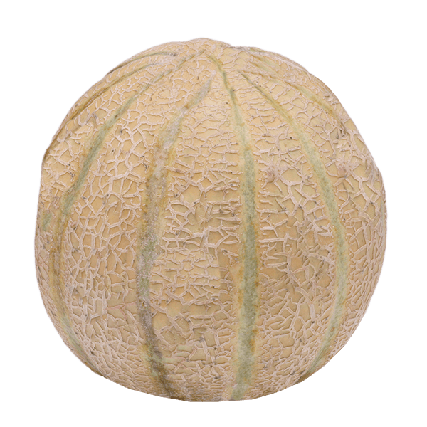 Melao-Charentais-2kg Melao-Charentais-2kg