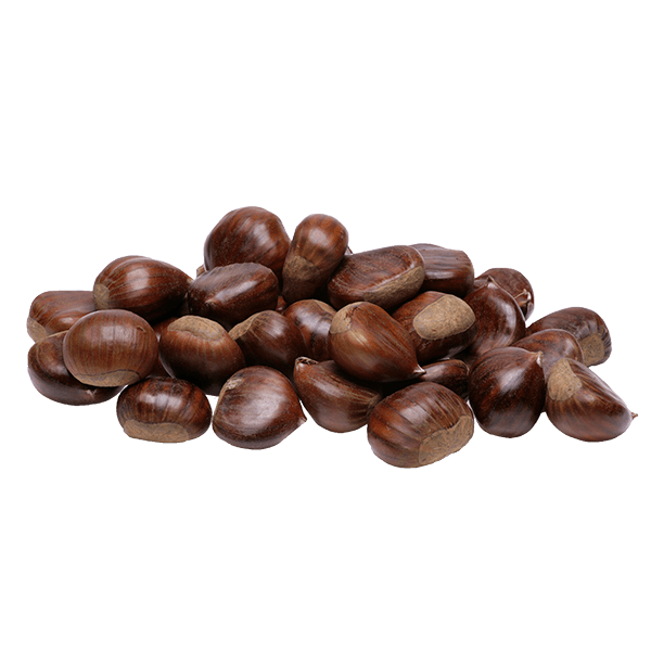 Castanha-Portuguesa-200g Castanha-Portuguesa-200g