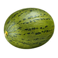 Melao-Pele-de-Sapo-3kg