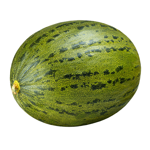 Melao-Pele-de-Sapo-3kg Melao-Pele-de-Sapo-3kg