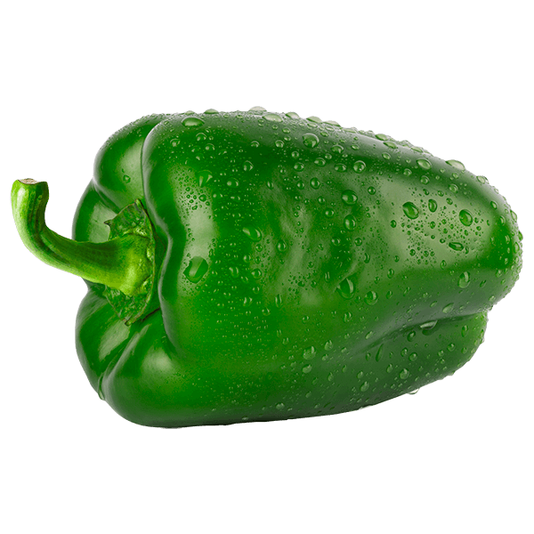 Pimentao-Verde--1-unidade-aprox.-200g- Pimentao-Verde--1-unidade-aprox.-200g-