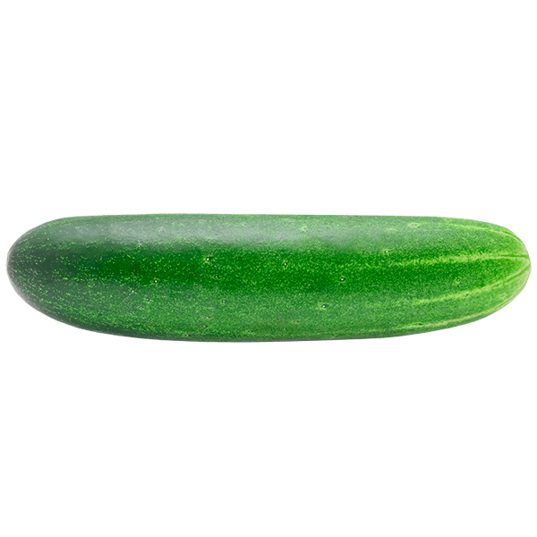 Pepino--1-unidade-aprox.-300g- Pepino--1-unidade-aprox.-300g-