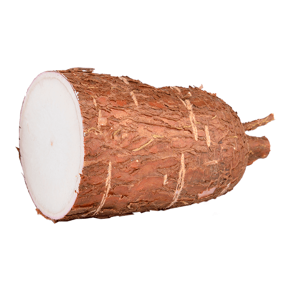 Aipim--1-unidade-aprox.-250g- Aipim--1-unidade-aprox.-250g-