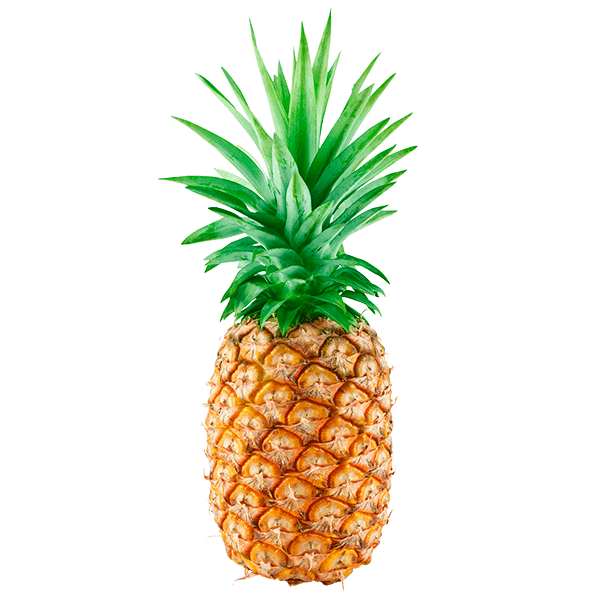 Abacaxi--unidade- Abacaxi--unidade-