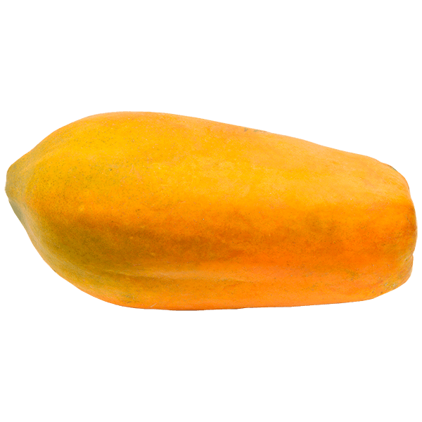 Mamao-Formosa--1-unidade-aprox.-16kg- Mamao-Formosa--1-unidade-aprox.-16kg-