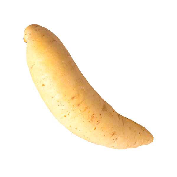 Batata Baroa
