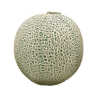 Melao-Cantaloupe--1-unidade-aprox.-25kg-