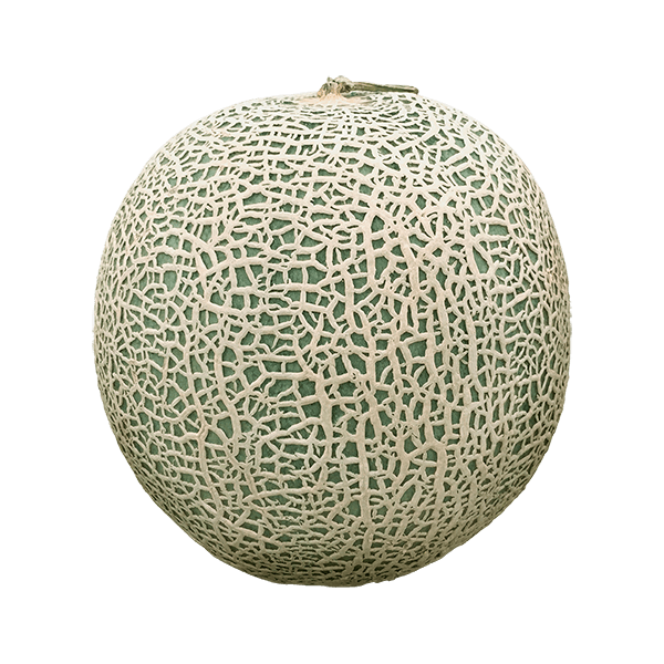 Melao-Cantaloupe--1-unidade-aprox.-25kg- Melao-Cantaloupe--1-unidade-aprox.-25kg-
