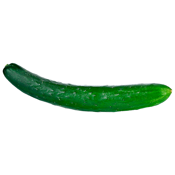 Pepino-Japones-400g Pepino-Japones-400g