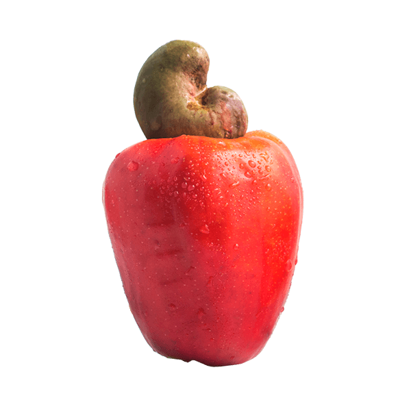 Caju--Bandeja- Caju--Bandeja-