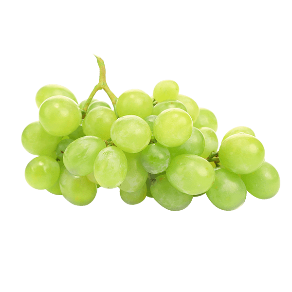 Uva-Thompson-Verde-sem-semente-500g--Bandeja- Uva-Thompson-Verde-sem-semente-500g--Bandeja-