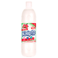 Desinfetante-Bom-Bril-Kalipto-Eucalipto-750ml