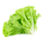 Alface-Crespa-Verde-Un-396 Alface-Crespa-Verde-Un-396