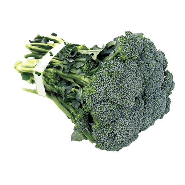 Brocolis-Un-337 Brocolis-Un-337