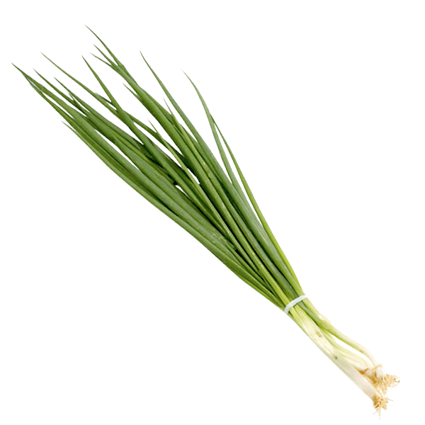 Cebolinha-Un-1953 Cebolinha-Un-1953