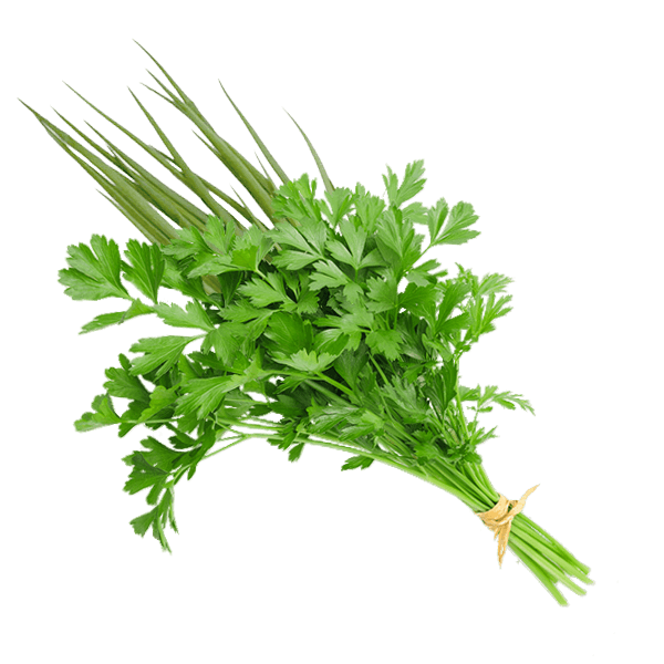 Cheiro-Verde-Un-1961 Cheiro-Verde-Un-1961