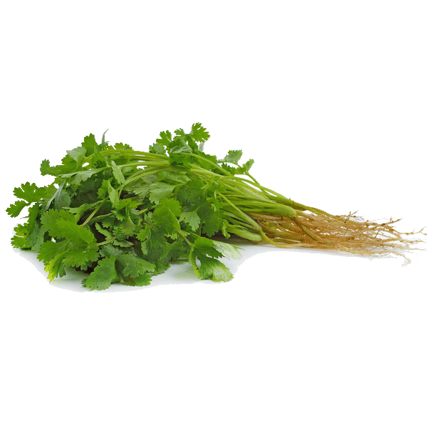 Coentro-Un-1970 Coentro-Un-1970