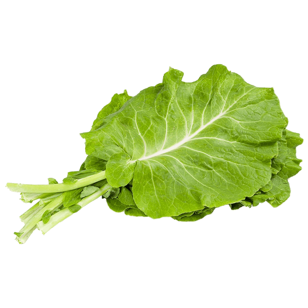 Couve-Manteiga-Un-2011 Couve-Manteiga-Un-2011