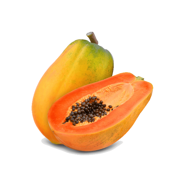Mamao-Papaya-Kg-14826 Mamao-Papaya-Kg-14826