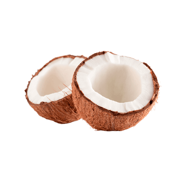 Coco-Seco-Emb-Kg-50016 Coco-Seco-Emb-Kg-50016