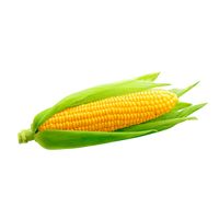 1791