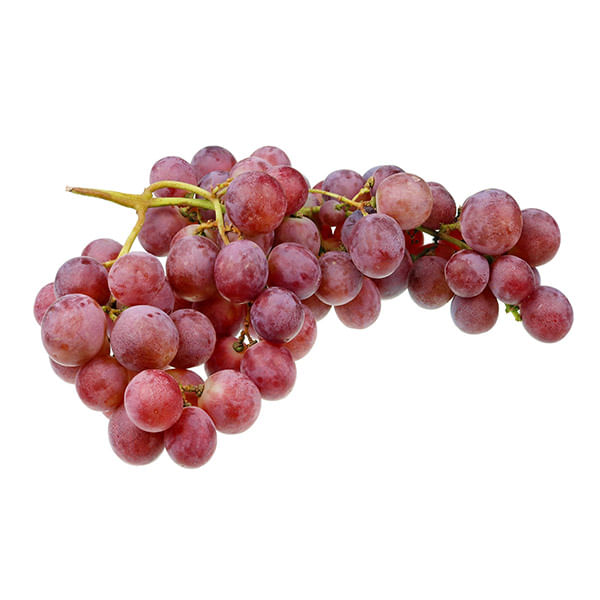 shutterstock_1528858460 shutterstock_1528858460