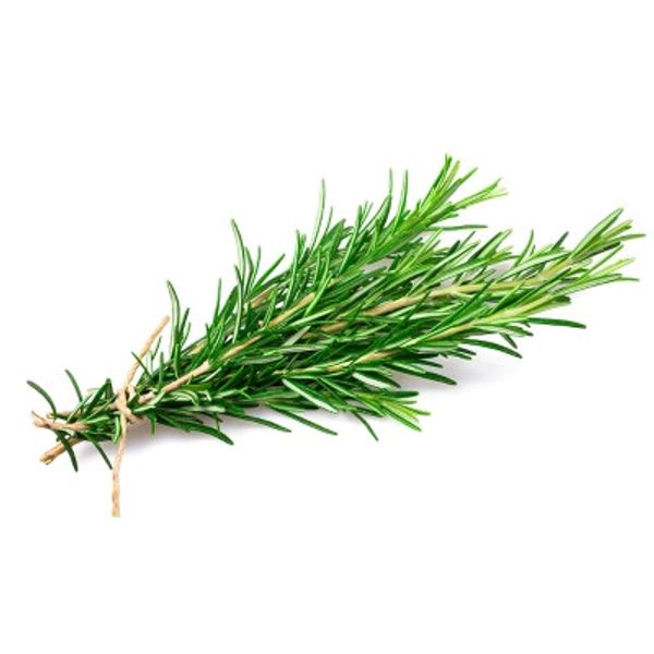 Alecrin---unidade-- Alecrin---unidade--