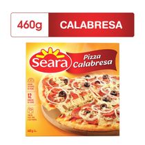 cb6085497d0c60233dd017e89ece2d7c_pizza-seara-de-calabresa-460g_lett_1