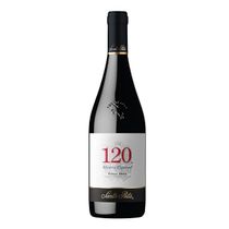 Vinho-Santa-Rita-120-Reserva-Pinot-Noir-750ml
