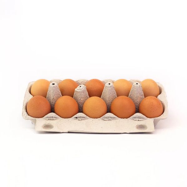 ovo asa vermelho omega c 10 ovo asa vermelho omega c 10