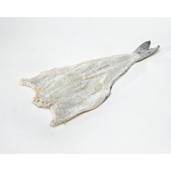 589432837saithe.jpg 589432837saithe.jpg