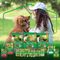7891000115695---NESTLE®-PURINA®-DOG-CHOW®-ExtraLife®-Racao-Umida-para-Caes-Filhotes-de-Todos-os-Tamanhos-Frango-100g---1.jpg